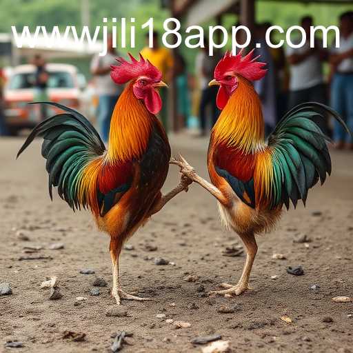 A Comprehensive Insight into Sabong Games and the Rise of Jili18